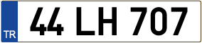 Trailer License Plate